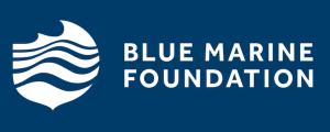blue marine