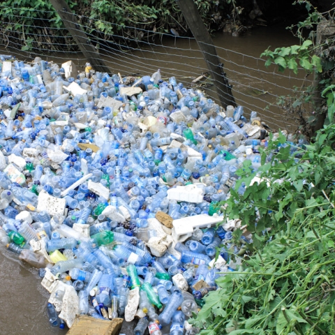 Plastic bottle waste