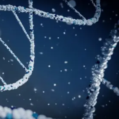 UK-wide nucleic acid network launches to connect research, industry and innovation