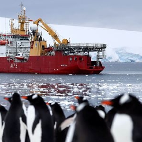 HMS Protector
