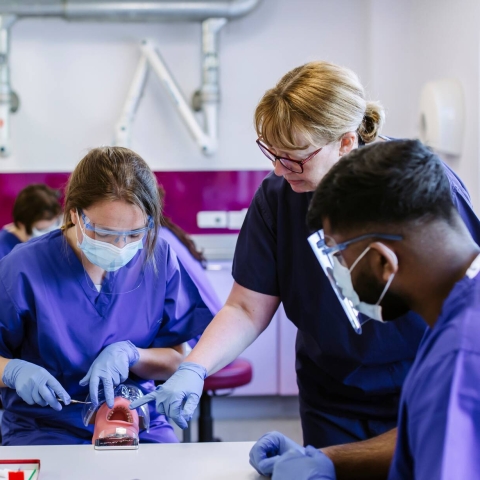 dental education