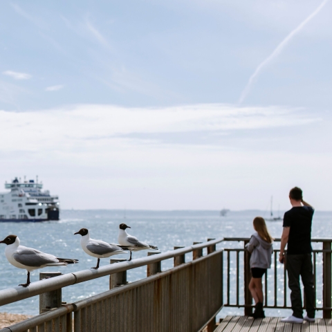Ferry in the sea