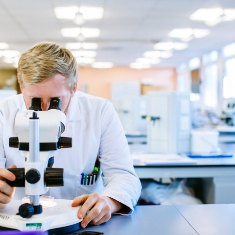 Lab microscope