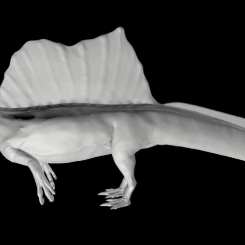 Aquatic dinosaur