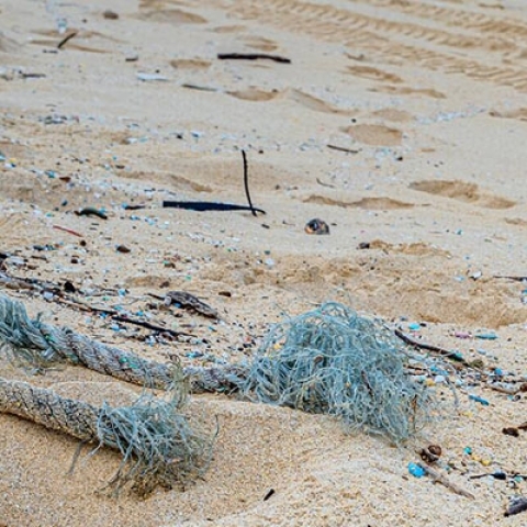 Microplastics on a beach MicroSEAP