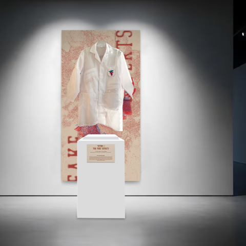 Gallery display featuring a white lab coat mounted against a red‑and‑beige backdrop, with a pedestal in front titled “The Fake Expert.”