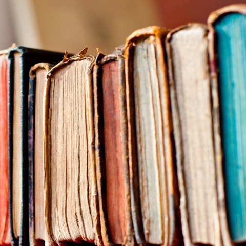 Line of books