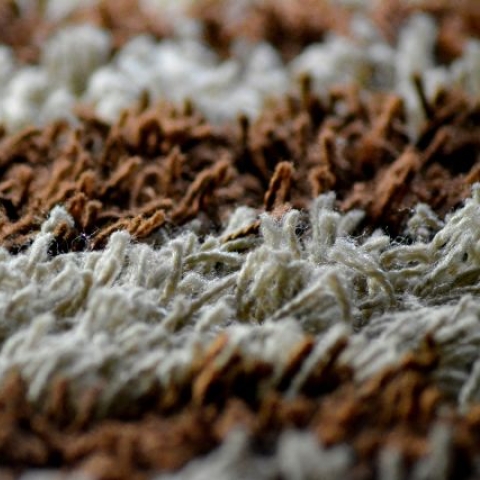 Carpet