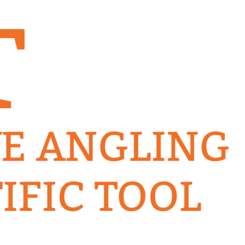 CAST project logo