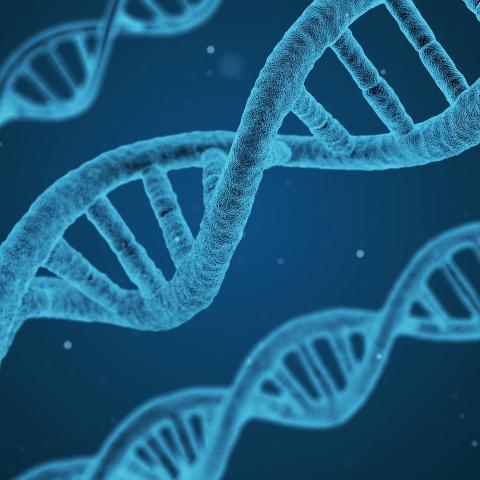 DNA Helix String