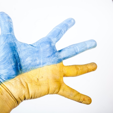 Hand painted yellow and blue