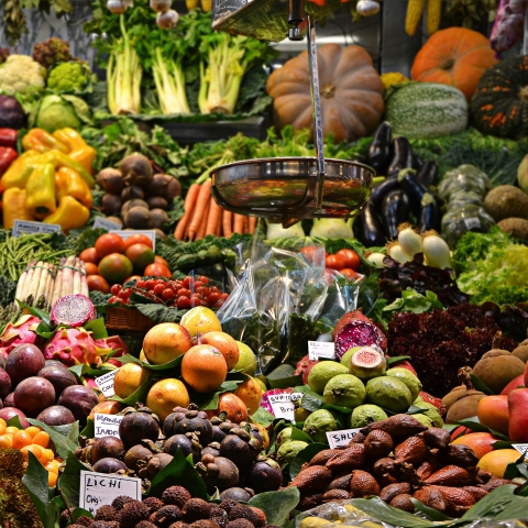 food frugality