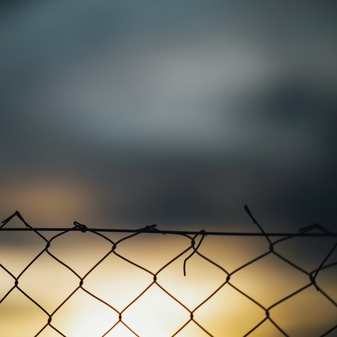 unsplash image