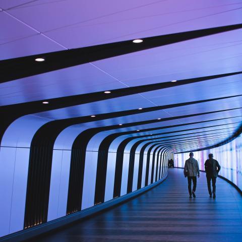 Image of two peple walking down a pathway