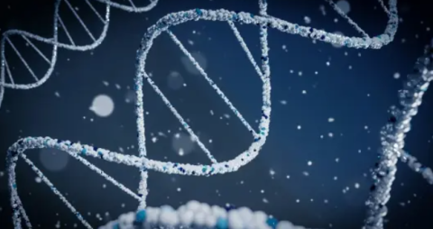 UK-wide nucleic acid network launches to connect research, industry and innovation