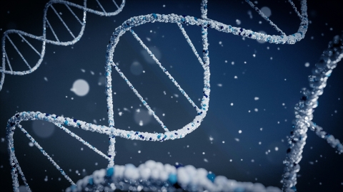 Image showing the structure of DNA