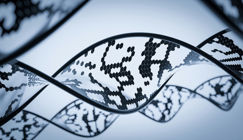 Image in black and white showing a genetic (DNA) sequence