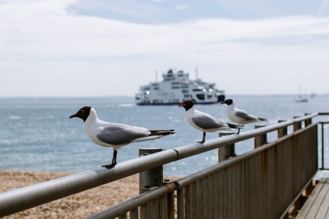 28/05/2021.B-Roll Day 4 - University of Portsmouth..All Rights Reserved - Helen Yates- T: +44 (0)7790805960.Local copyright law applies to all print & online usage. Fees charged will comply with standard space rates and usage for that country, region or state.28/05/2021.B-Roll Day 5 - University of Portsmouth..All Rights Reserved - Helen Yates- T: +44 (0)7790805960.Local copyright law applies to all print & online usage. Fees charged will comply with standard space rates and usage for that country, region o