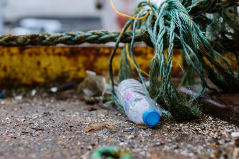 Plastic bottle caught in waste
