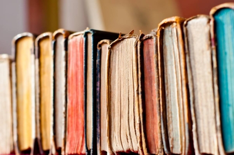 Line of books