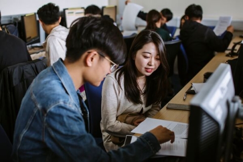 Students in a class working on laptops