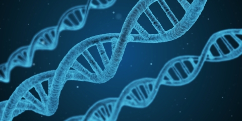 DNA Helix String