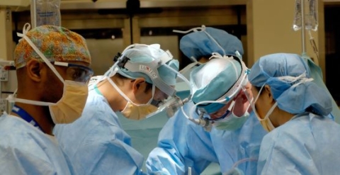 doctors