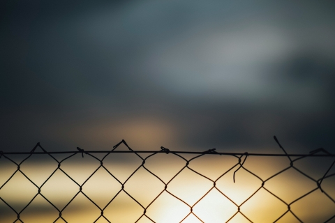 unsplash image