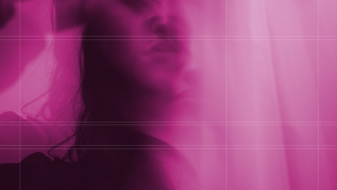 pink alteration of the Graduate Show poster without text and with the gridlines