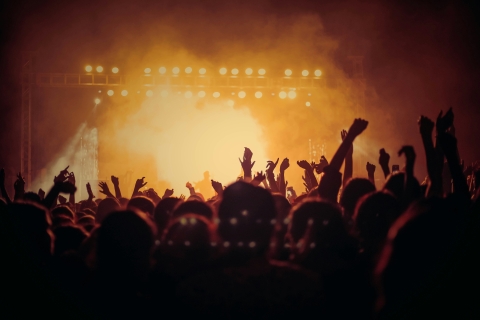Crowd at music concert