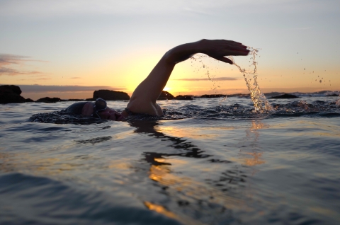 Wild swimming stock image