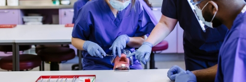 dental education