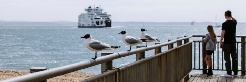 Ferry in the sea