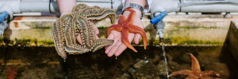 Deep sea creatures 
