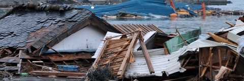 Wooden debris