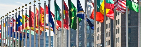 Line of flags