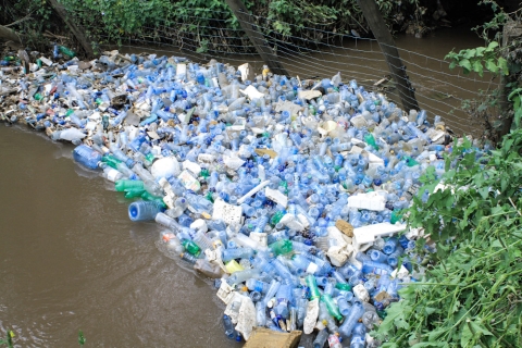Plastic bottle waste