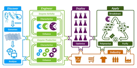 CEI image 1