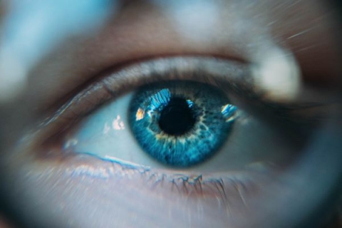 Close up of female eye