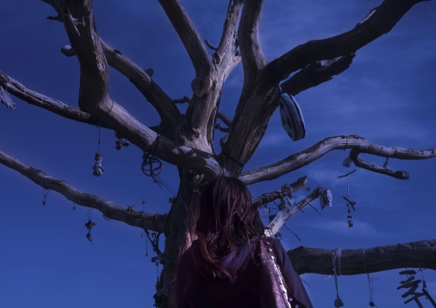 A person stands beneath a large leafless tree at night, surrounded by hanging objects and ornaments, illuminated by deep blue light that gives the scene a mysterious, atmospheric quality.