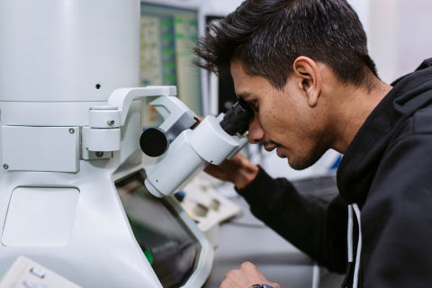 FE-SEM and TEM lab