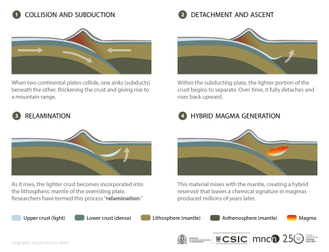 Infographic showing the process of relamination