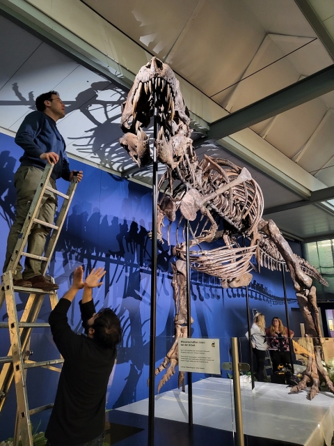 Team T. rex at work
