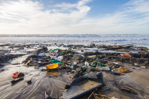 plastic pollution on a beach