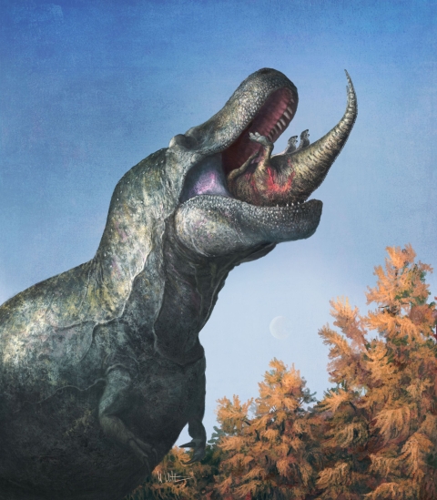 Picture of a Tyrannosaurus Rex