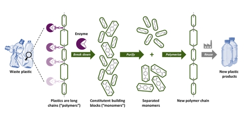 CEI image 2
