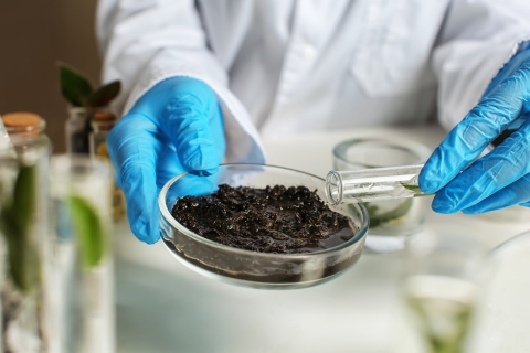 Scientist testing soils