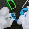 forensic investigators investigating a scene
