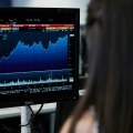 Person looking at a graph on a computer screen