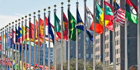 Line of flags